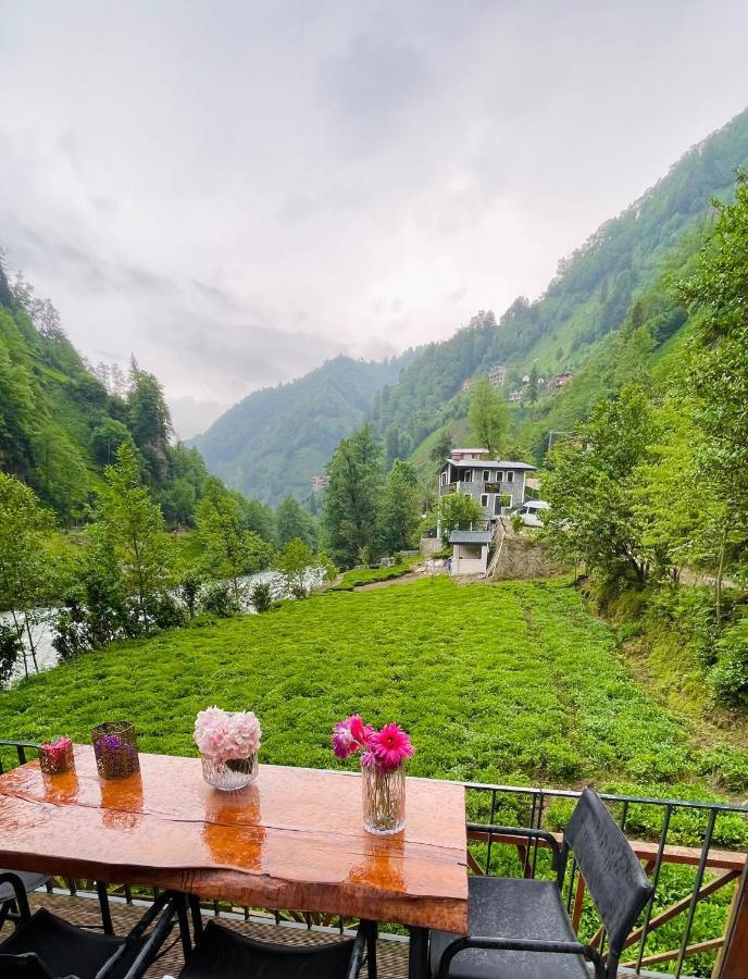 Hotel Vagona Tiny House à Rize Extérieur photo